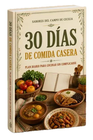 30 Días de Comida Casera · libro digital